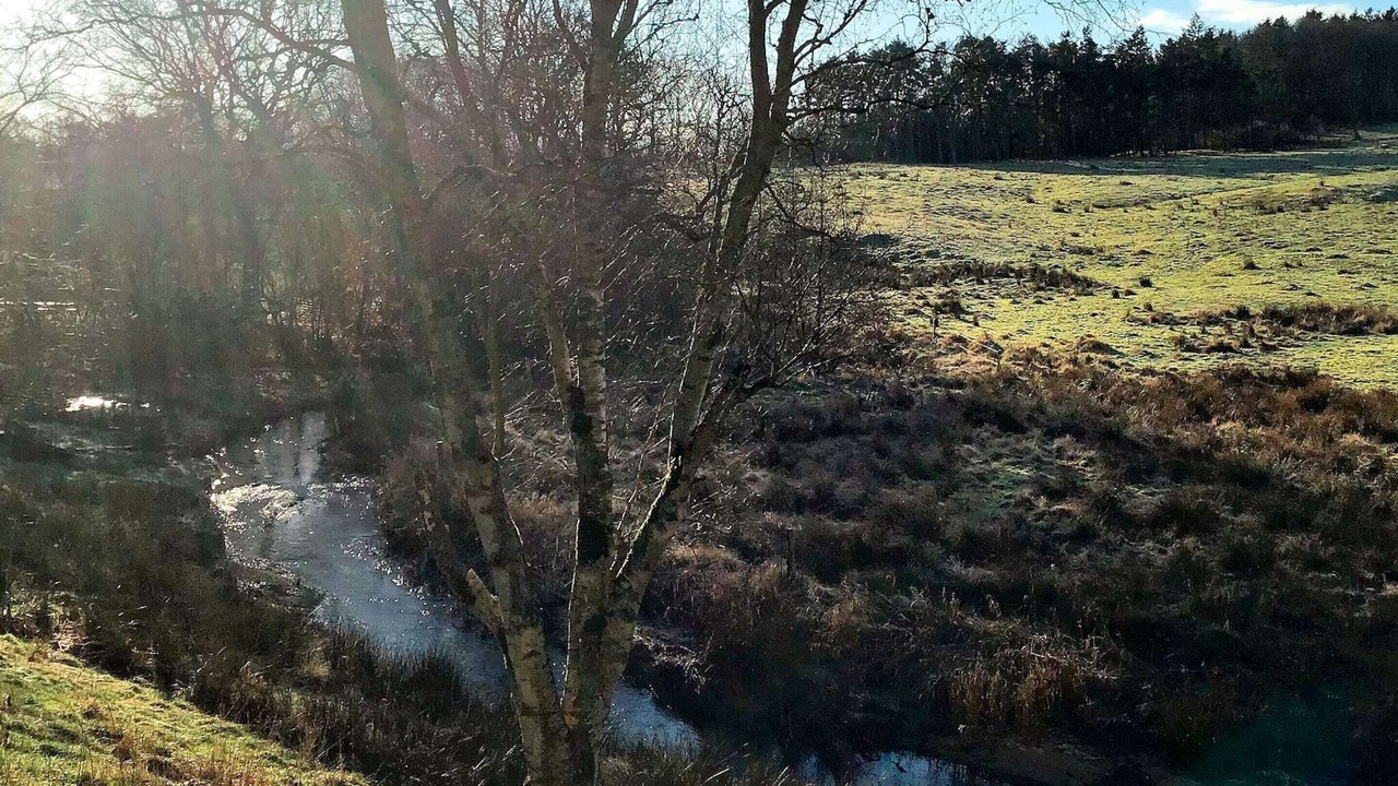 Photo of Outdoor in Holstebro Municipality