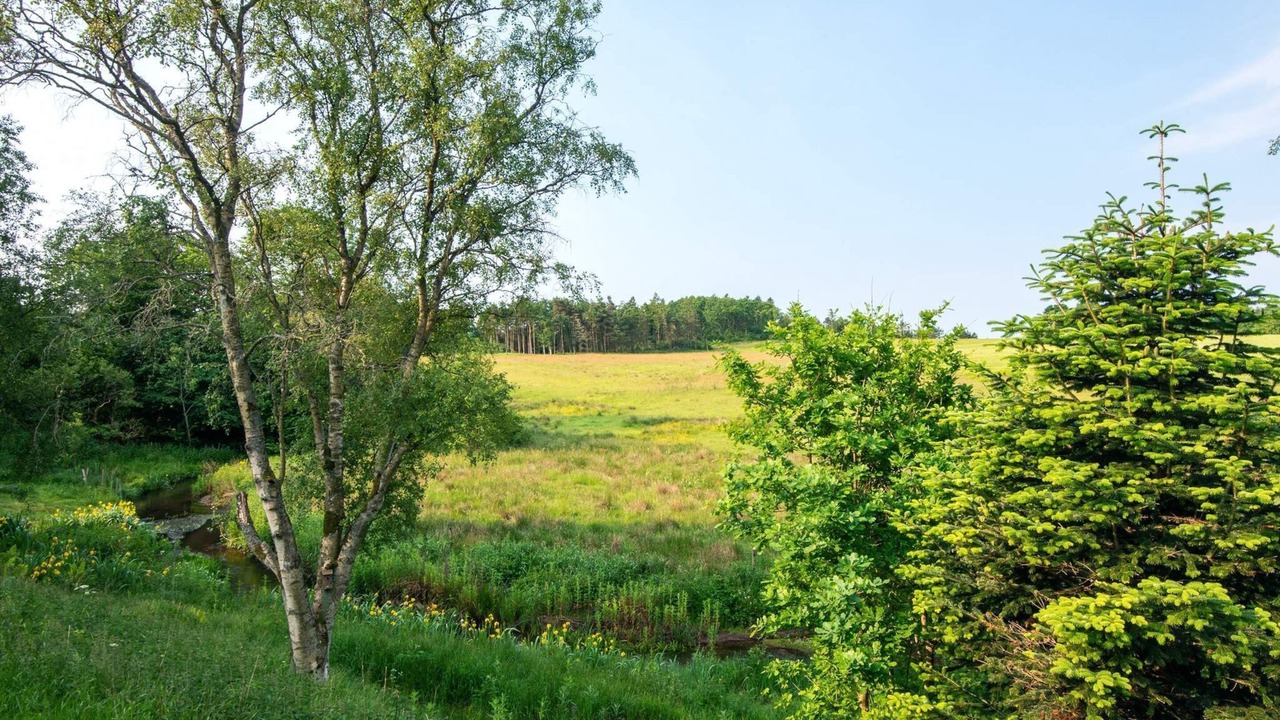 Photo of Others in Holstebro Municipality