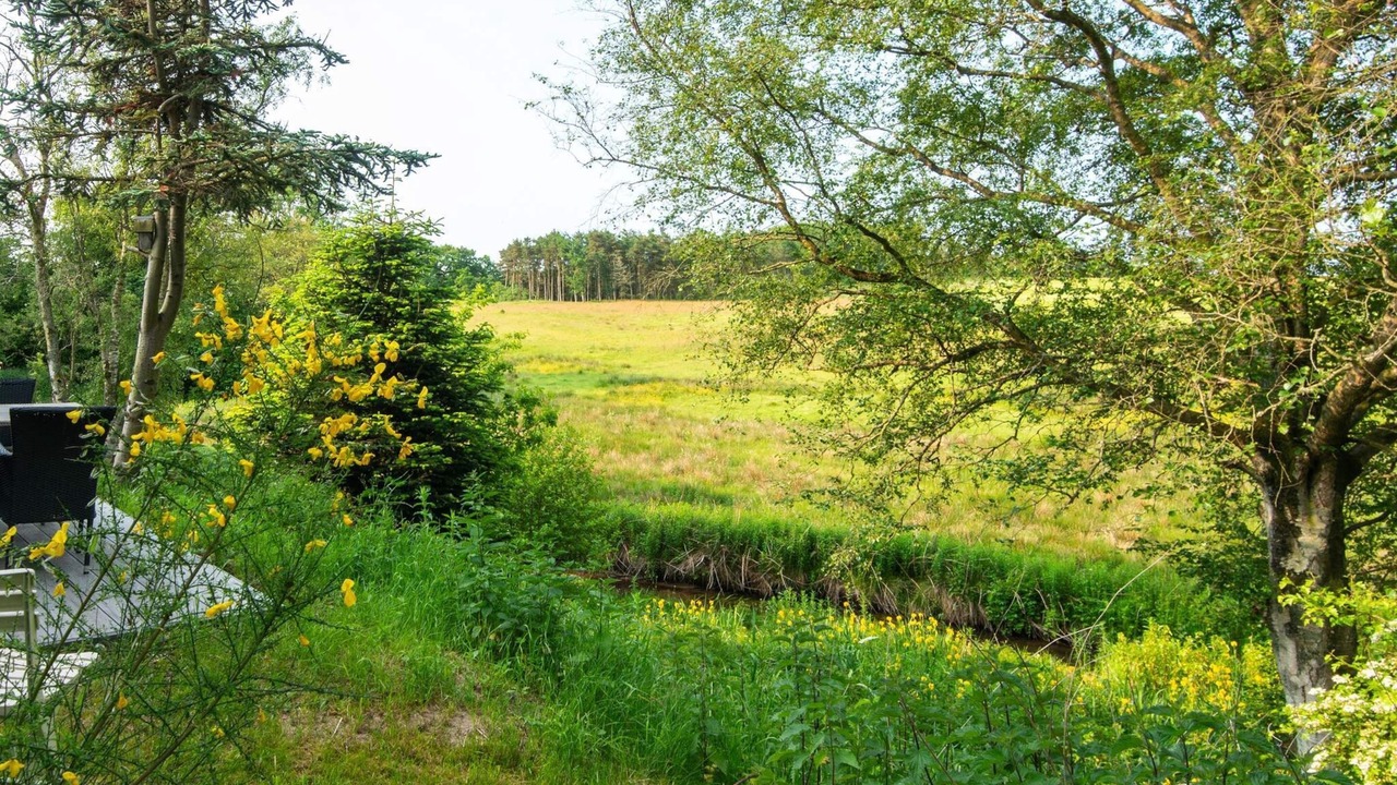 Photo of Others in Holstebro Municipality