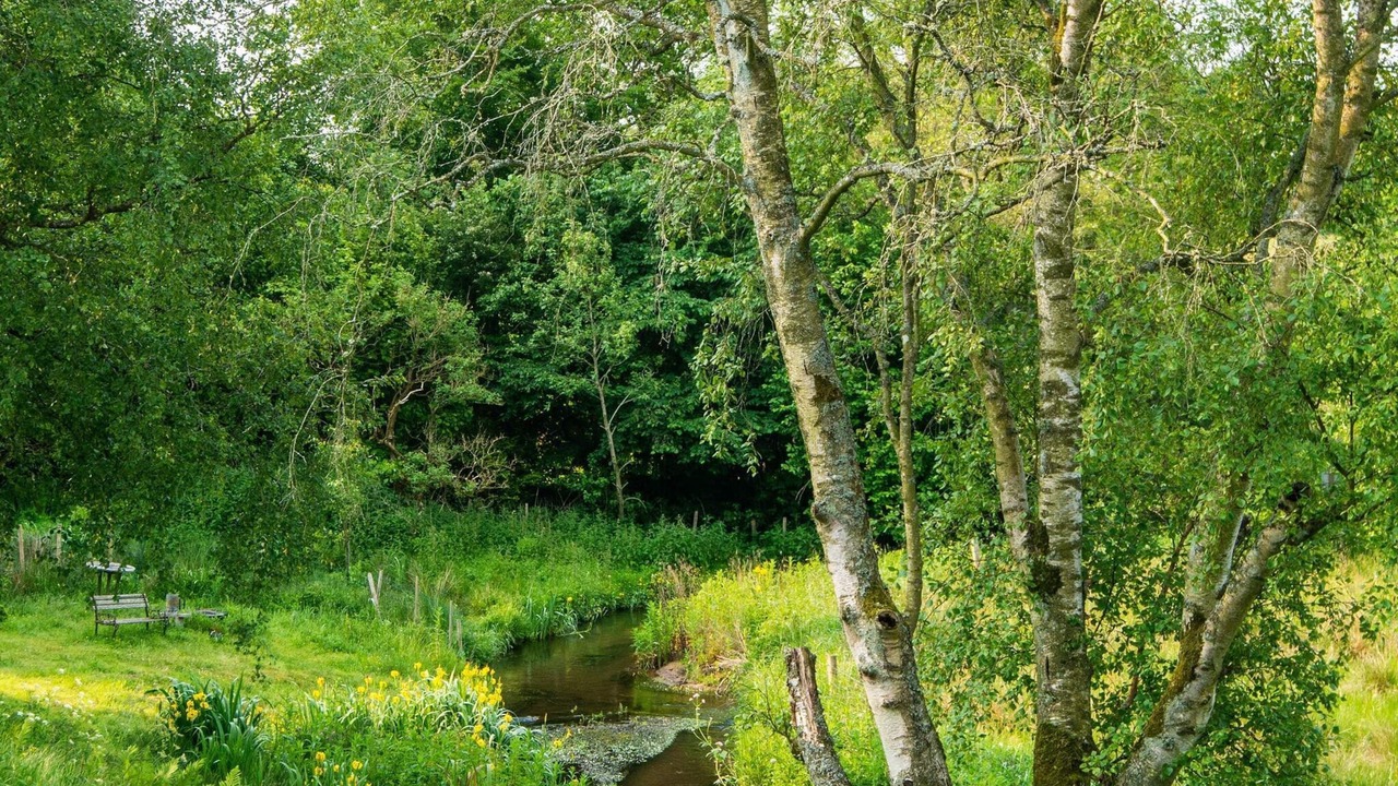 Photo of Others in Holstebro Municipality