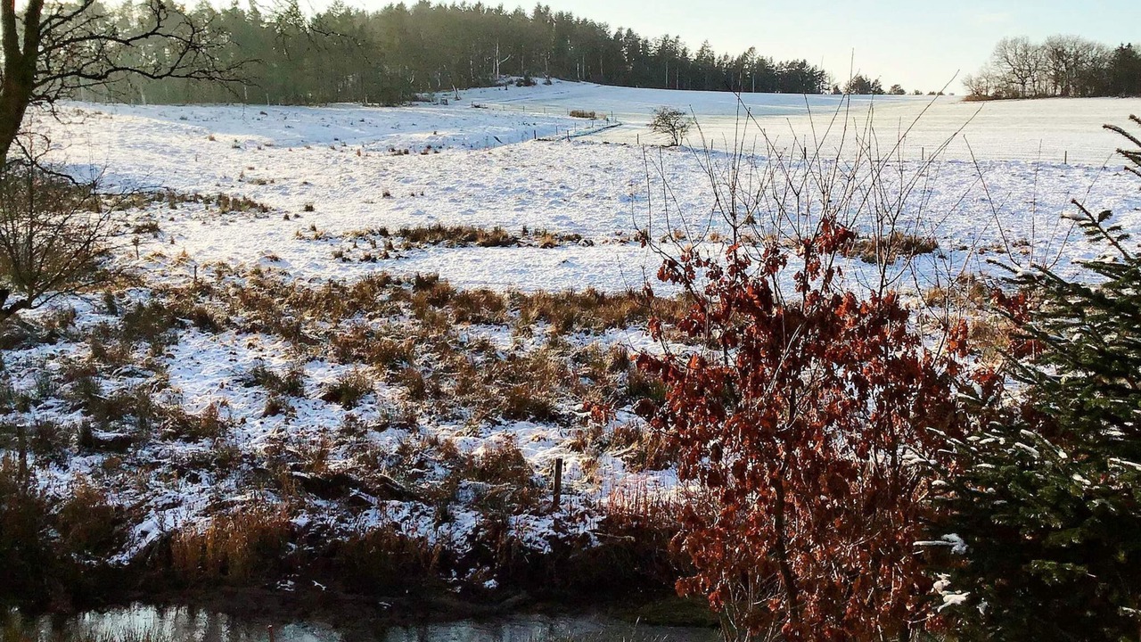 Photo of Outdoor in Holstebro Municipality