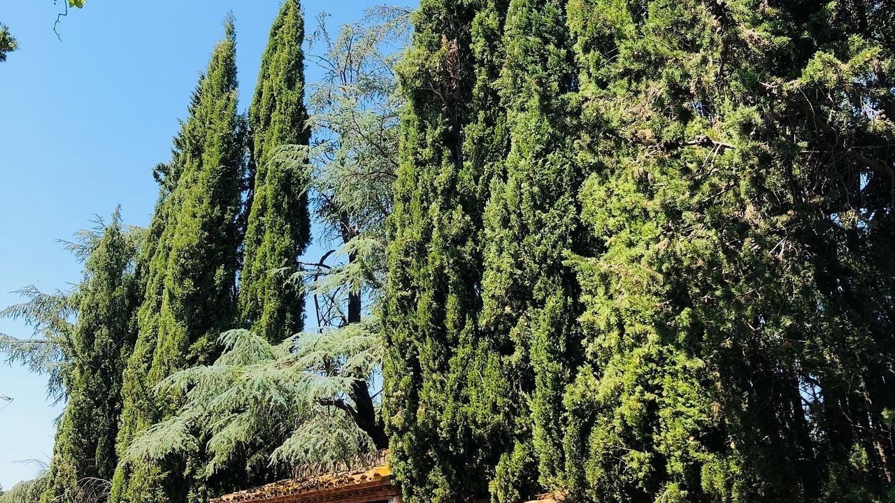 Photo of Outdoor in Darnius