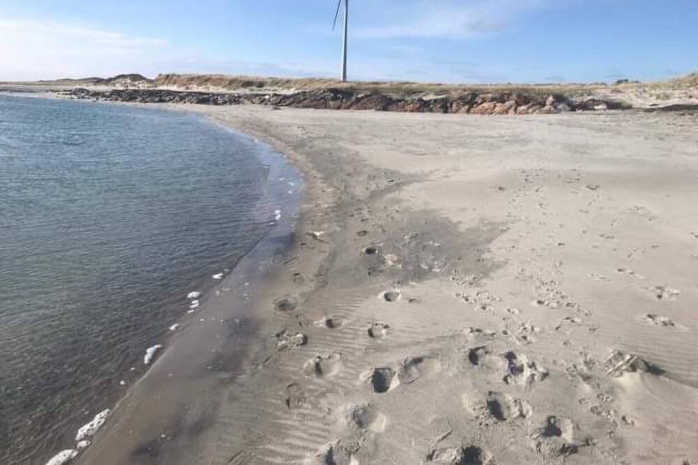 Photo of Others in Benbecula