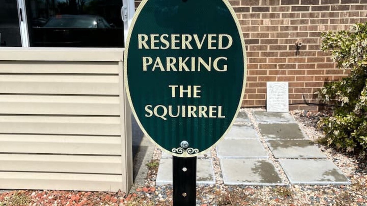 Photo of Outdoor in Mount Airy