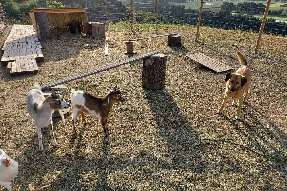 Photo of Others in Marssac-sur-Tarn