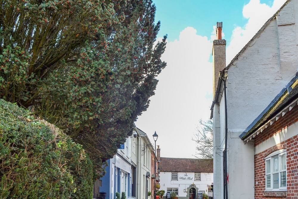 Photo of Others in Canford Magna