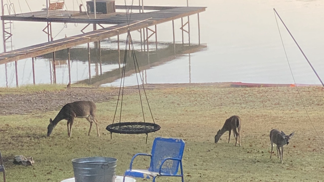 Photo of Outdoor in Nocona