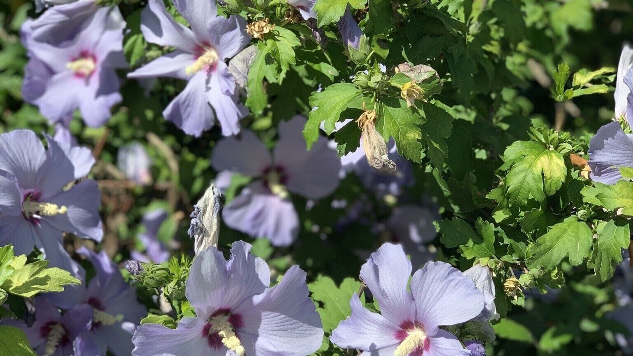 Photo of Outdoor in Agonac