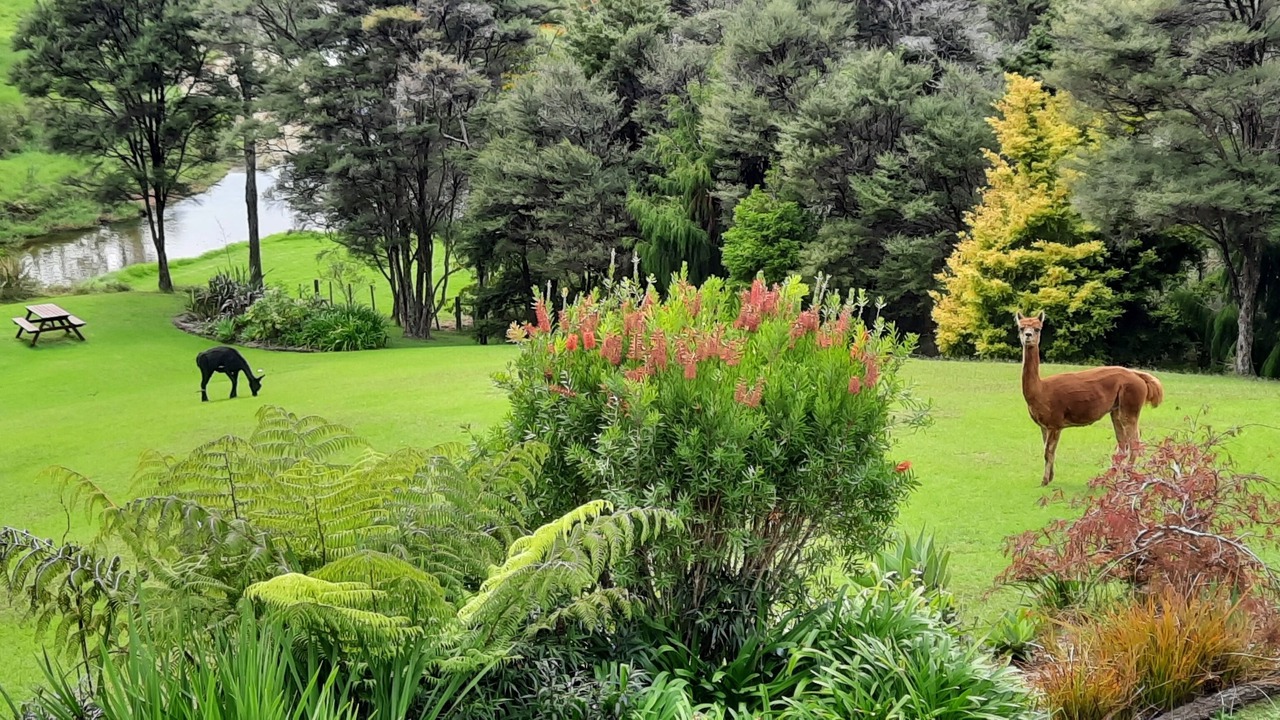 Photo of Bedroom in Paihia