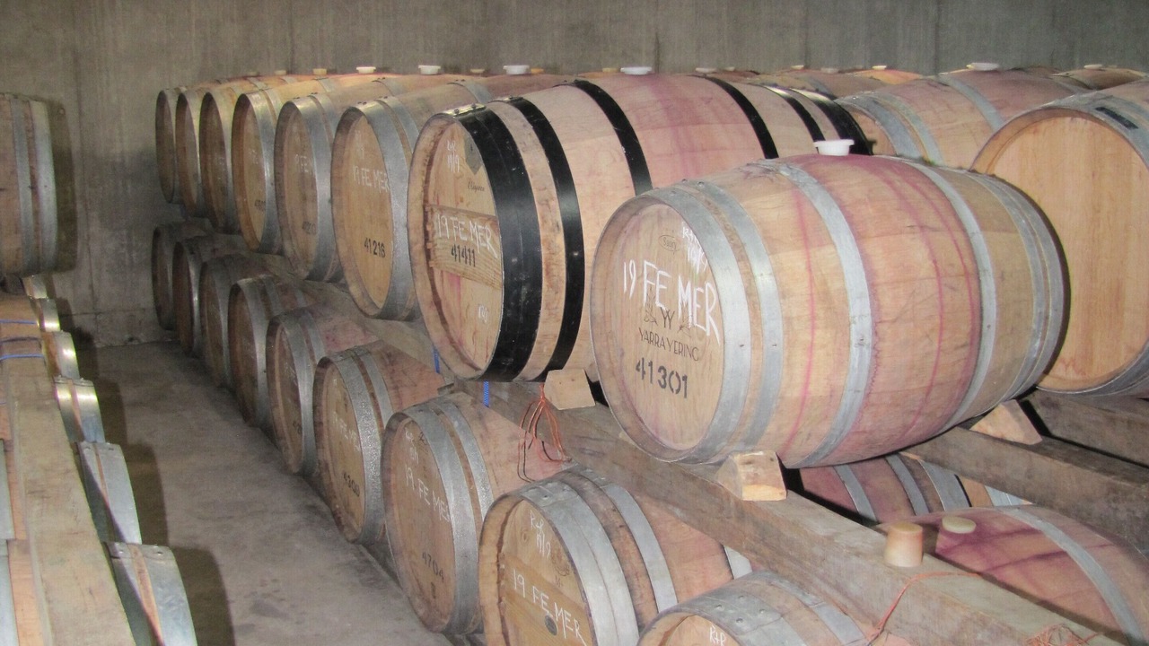 Photo of Others in Paihia