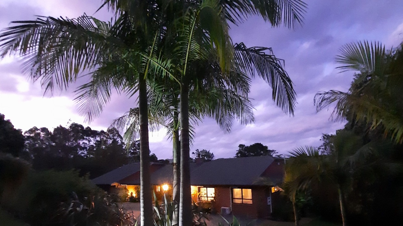 Photo of Outdoor in Paihia