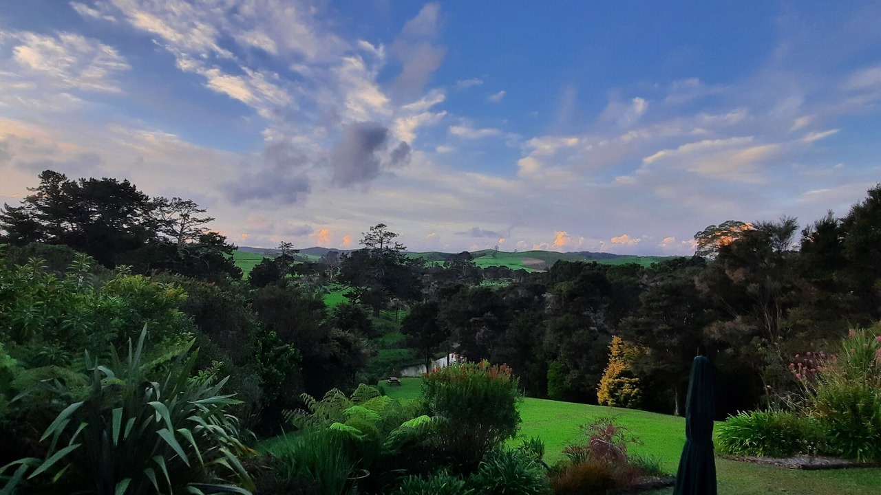 Photo of Outdoor in Paihia