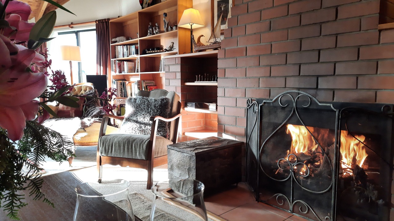 Photo of Others in Paihia