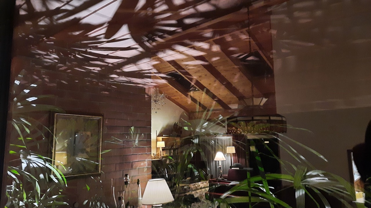 Photo of Outdoor in Paihia