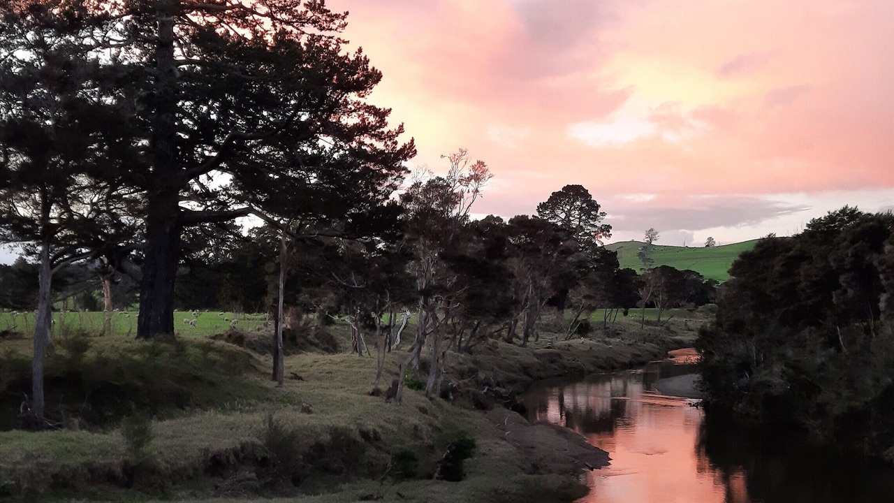Photo of Outdoor in Paihia