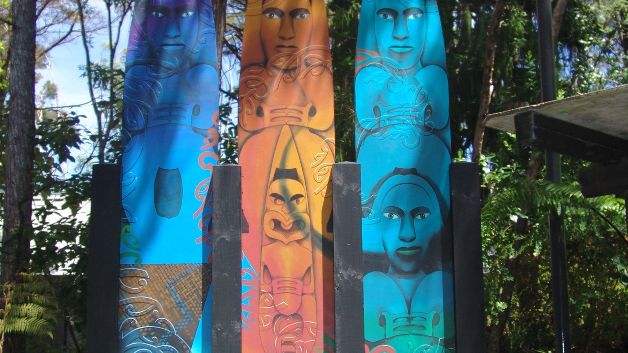 Photo of Others in Paihia