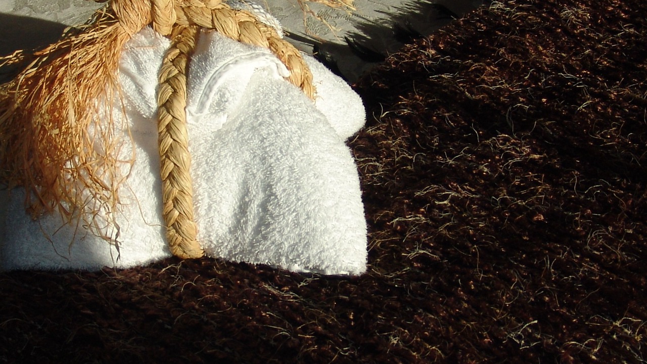 Photo of Others in Paihia