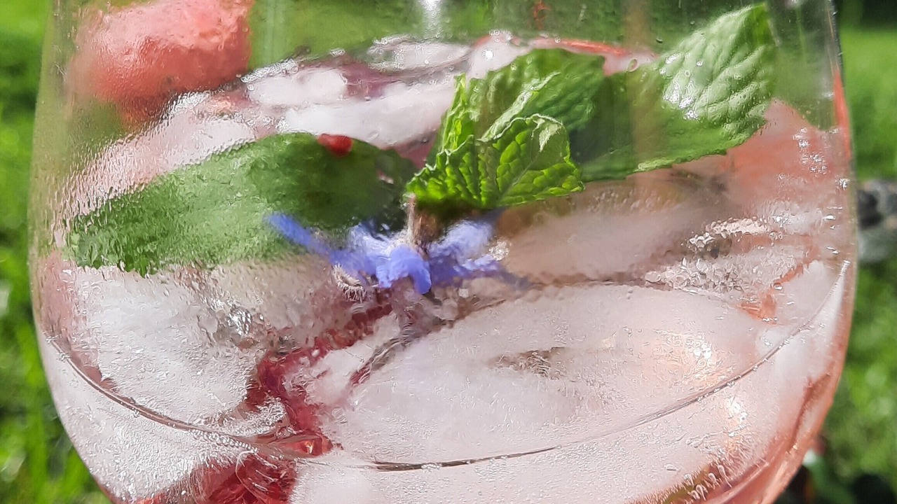 Photo of Others in Paihia