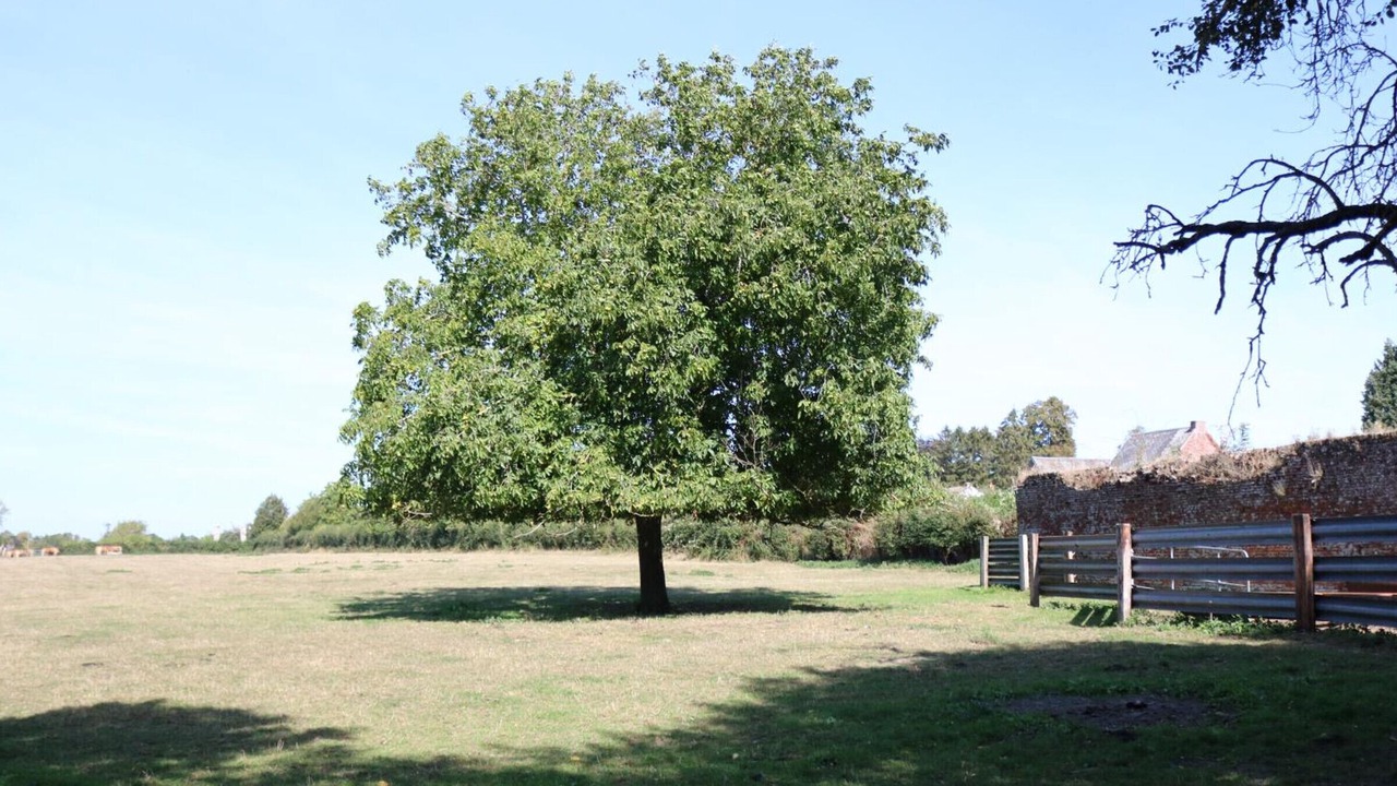 Photo of Outdoor in Romeries