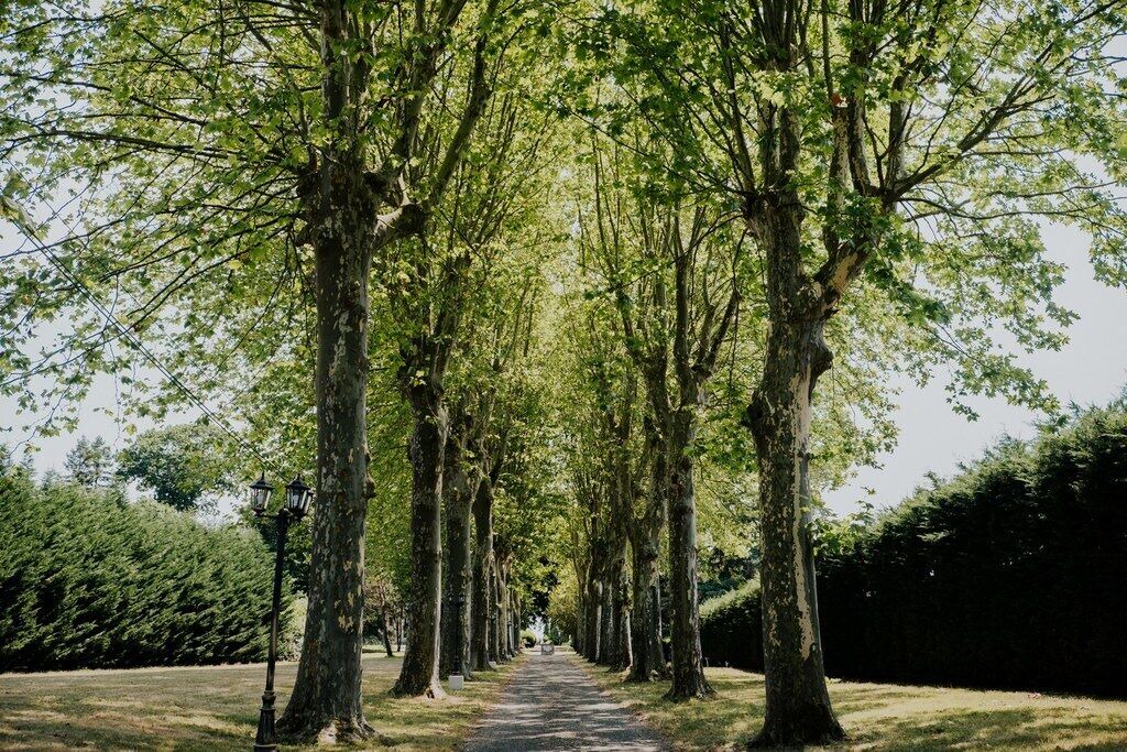 Photo of Outdoor in Clairac
