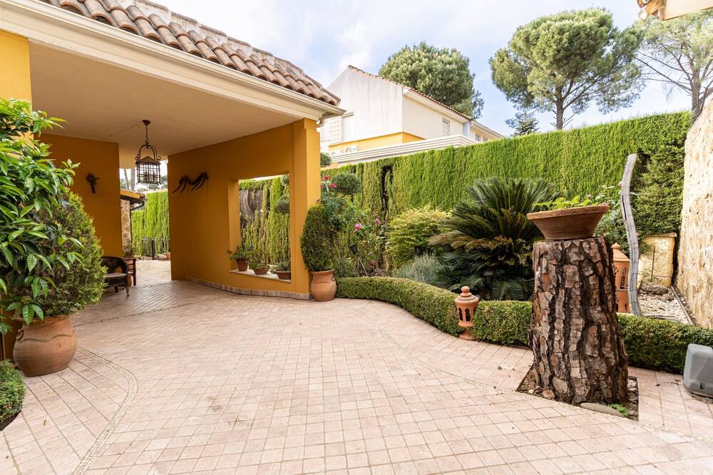Photo of Outdoor in Las Jaras