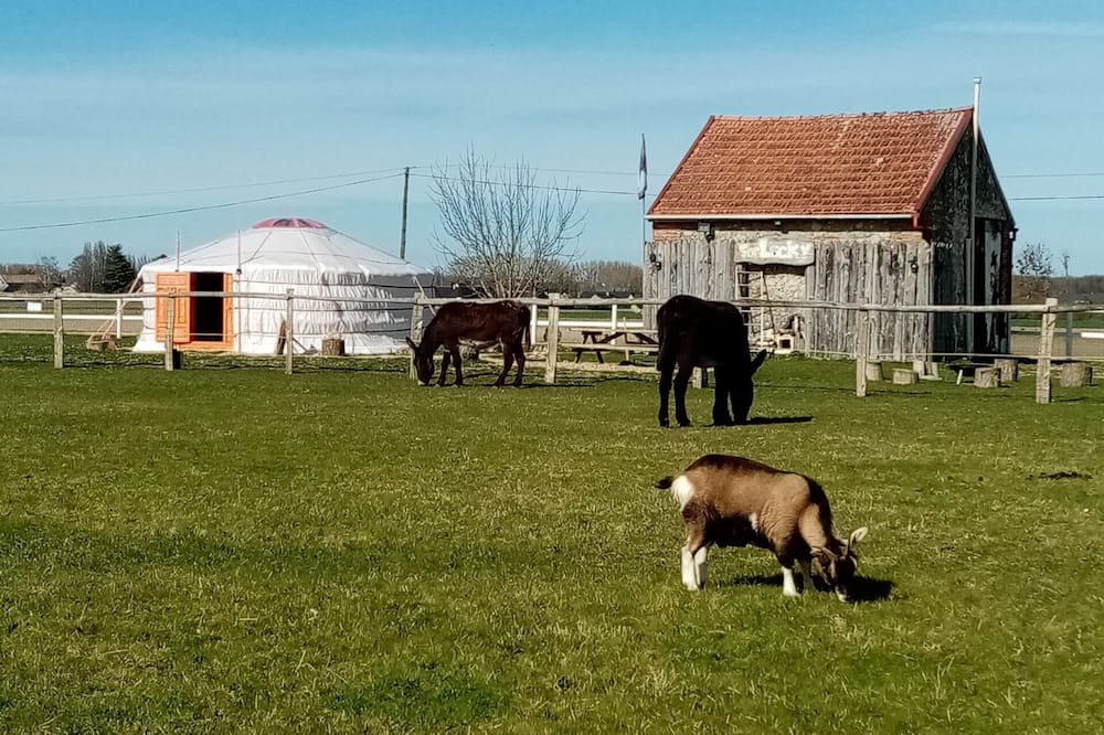 Photo of Outdoor in Vernoil-le-Fourrier