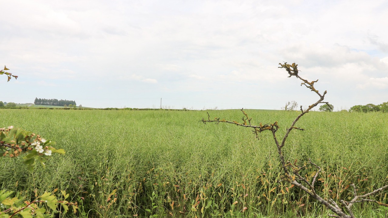 Photo of Others in Swinton