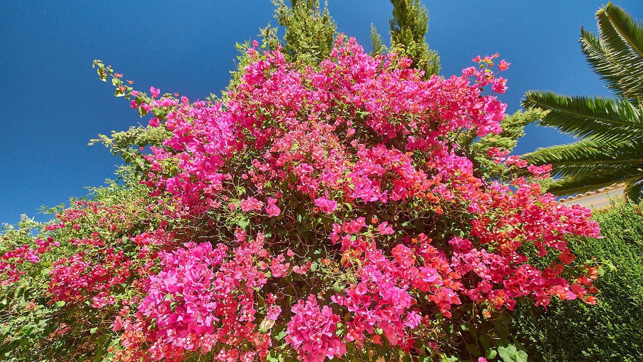 Photo of Outdoor in Hoya de los Patos