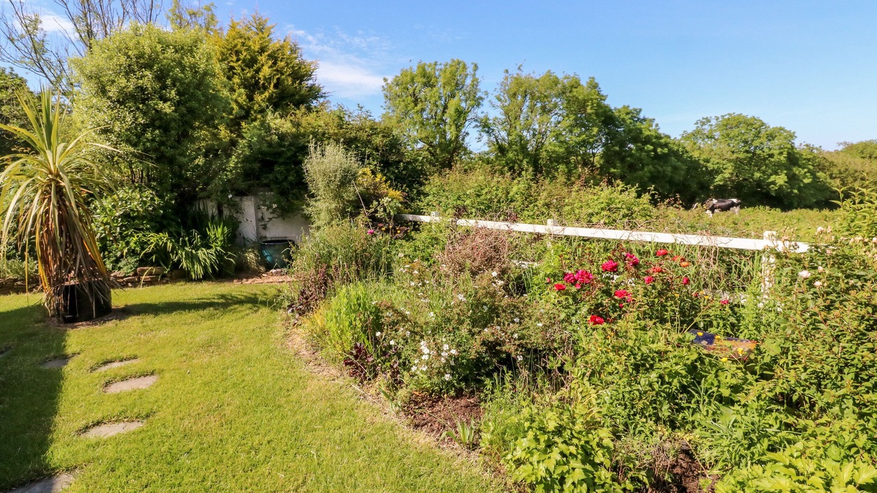 Photo of Others in Bradworthy