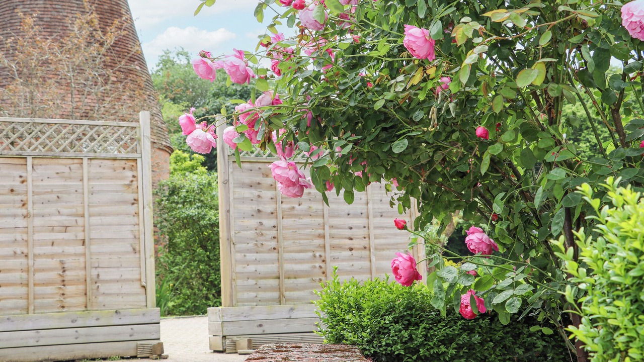 Photo of Others in Five Oak Green