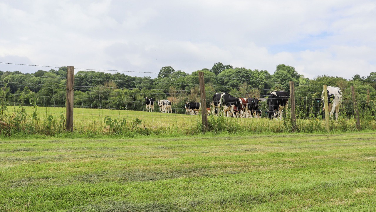 Photo of Others in Five Oak Green