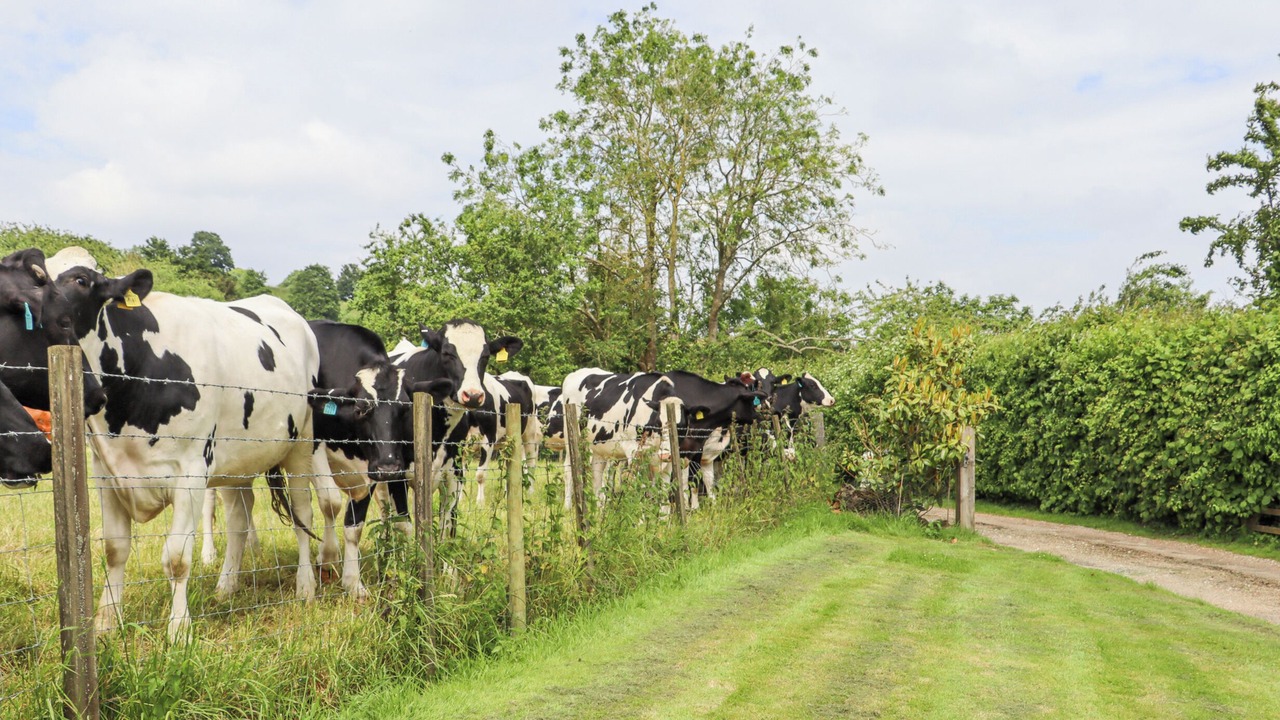Photo of Others in Five Oak Green