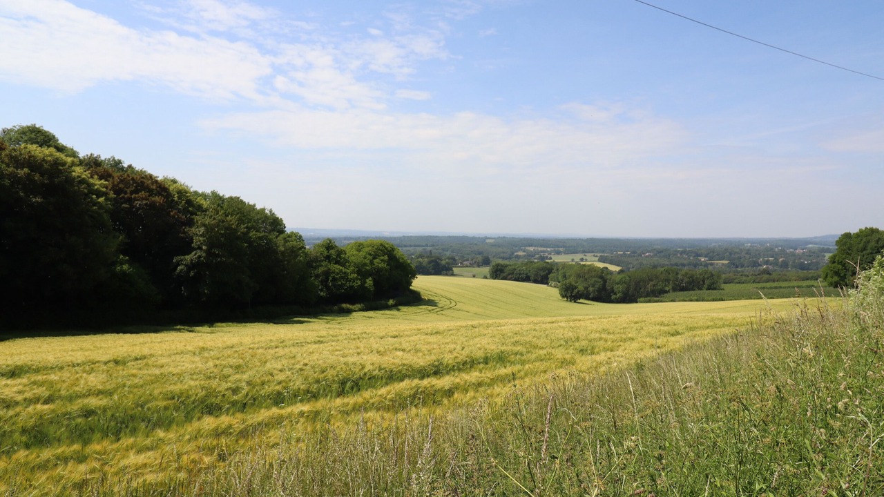 Photo of Others in Five Oak Green