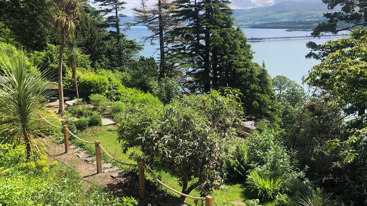 Photo of Others in Menai Bridge