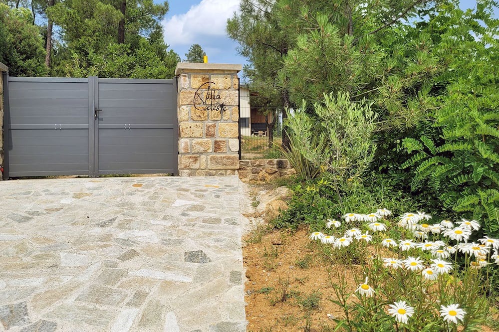 Photo of Outdoor in Ucel