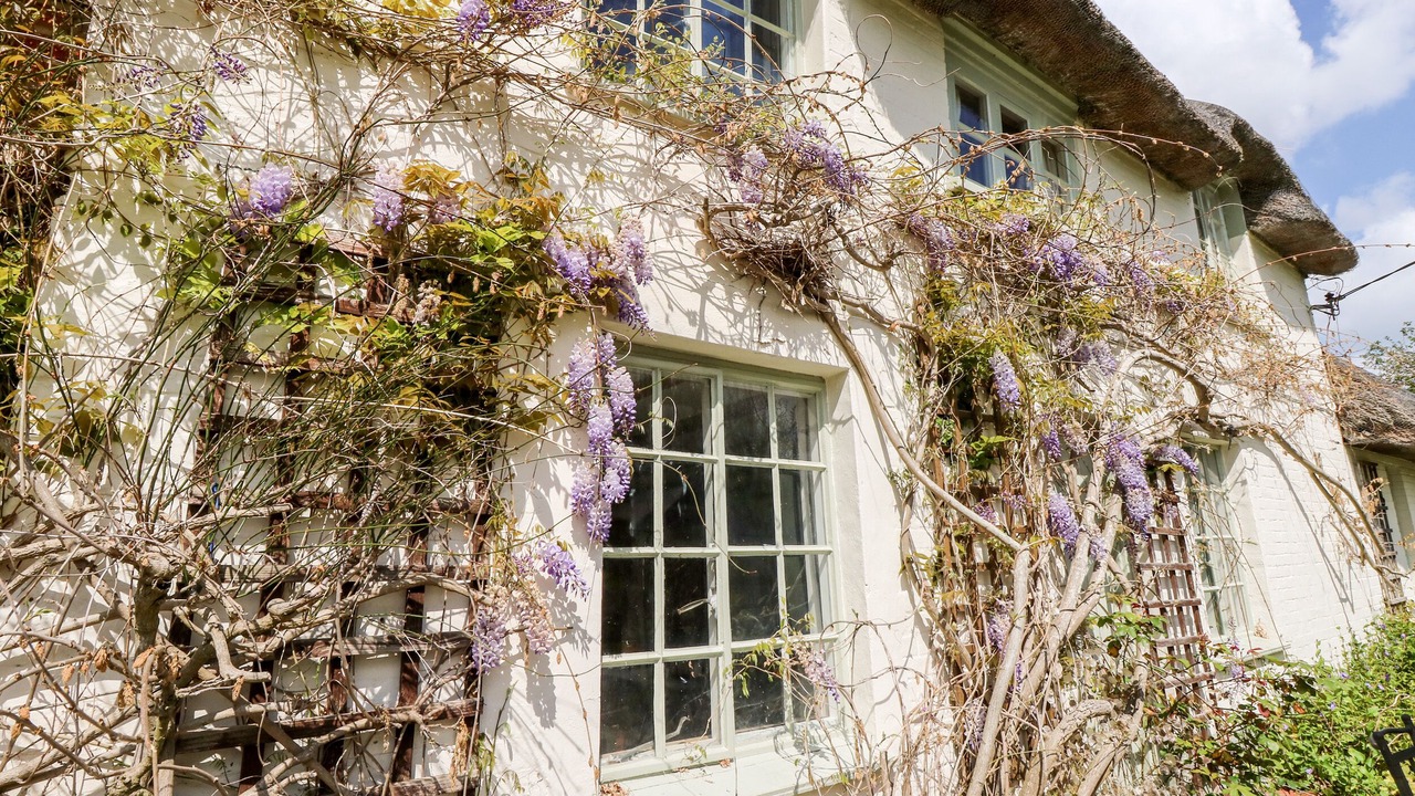 Photo of Others in Newport