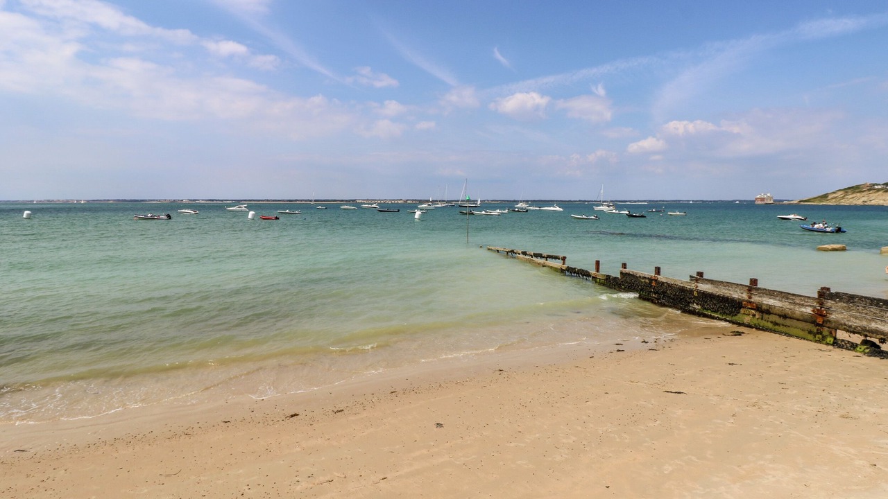 Photo of Others in Newport