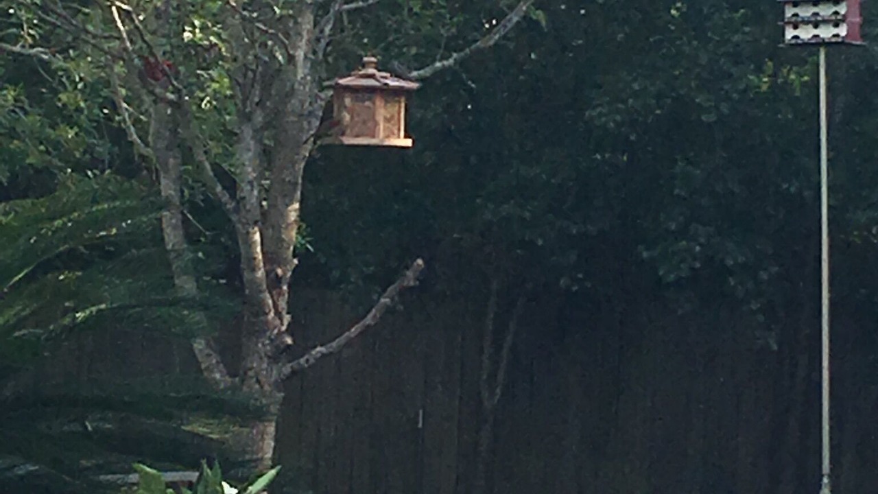 Photo of Outdoor in Montgomery