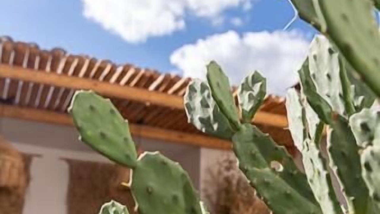 Photo of Patio Balcony in Argeles-sur-Mer