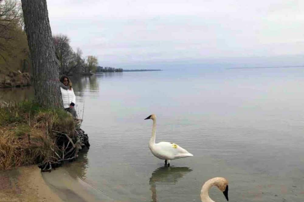 Photo of Others in Lagoon City