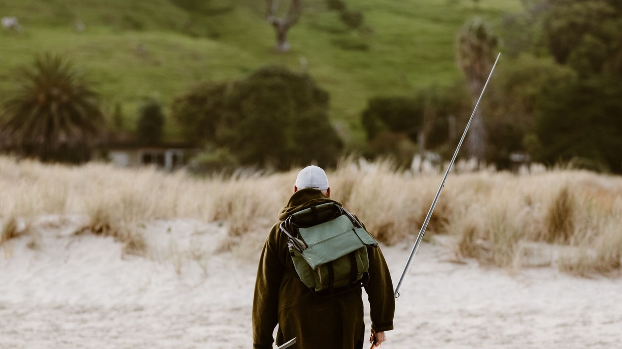 Photo of Others in Pakiri