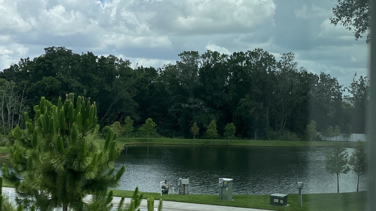 Photo of Bedroom in Seffner Community Alliance
