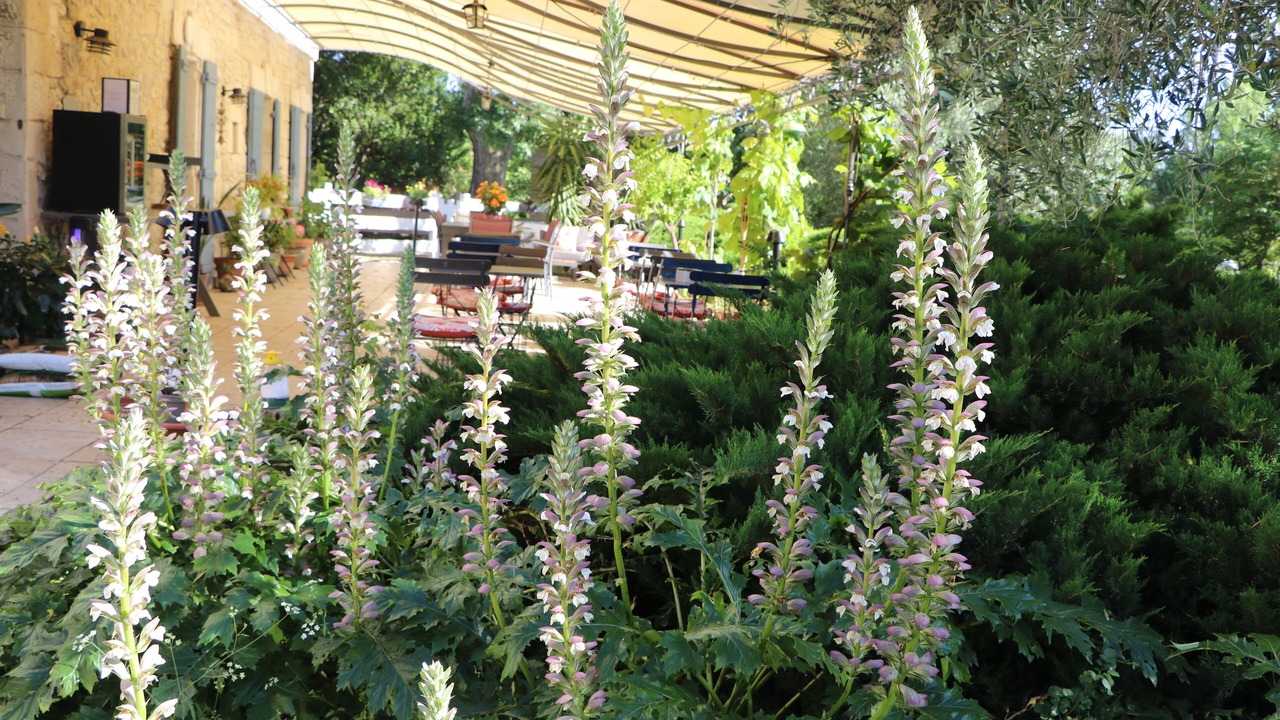 Photo of Outdoor in Avignon