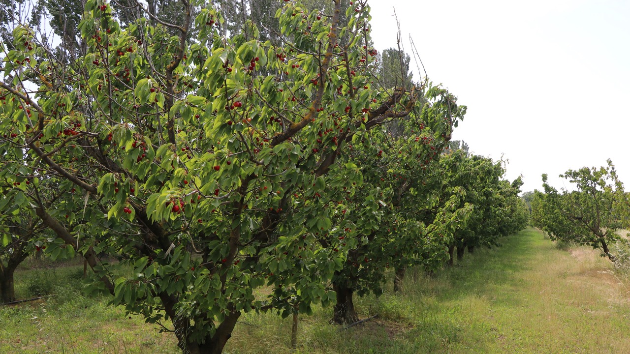 Photo of Outdoor in Avignon