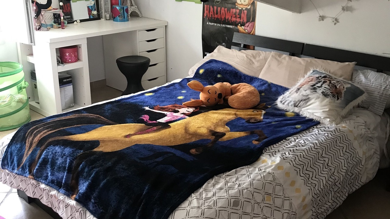 Photo of Others in Saint-Maximin-la-Sainte-Baume