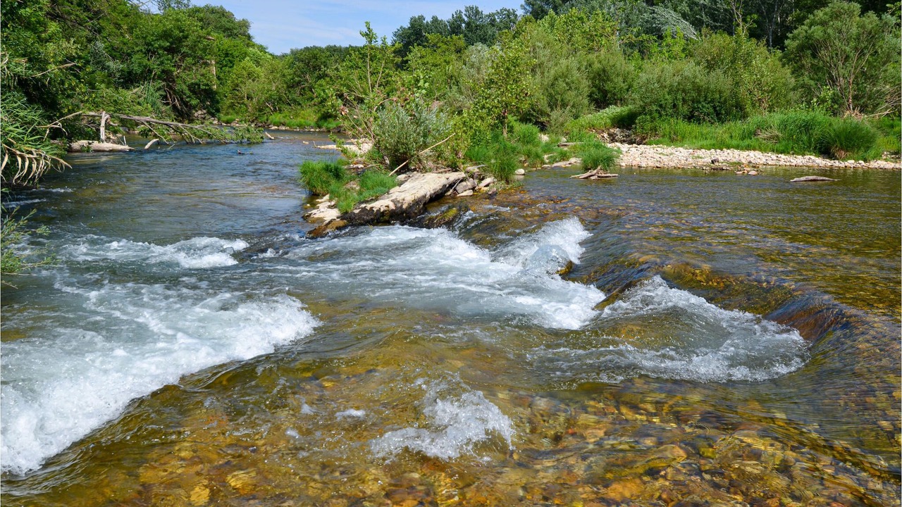 Photo of Others in La Roque-sur-Ceze