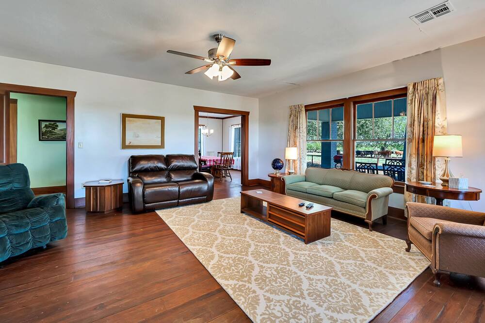 Photo of Livingroom in Clifton