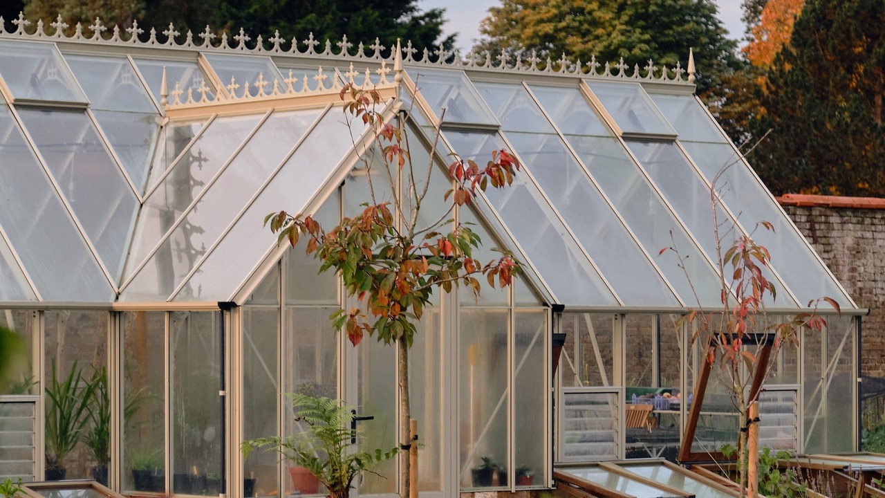 Photo of Outdoor in Fifield