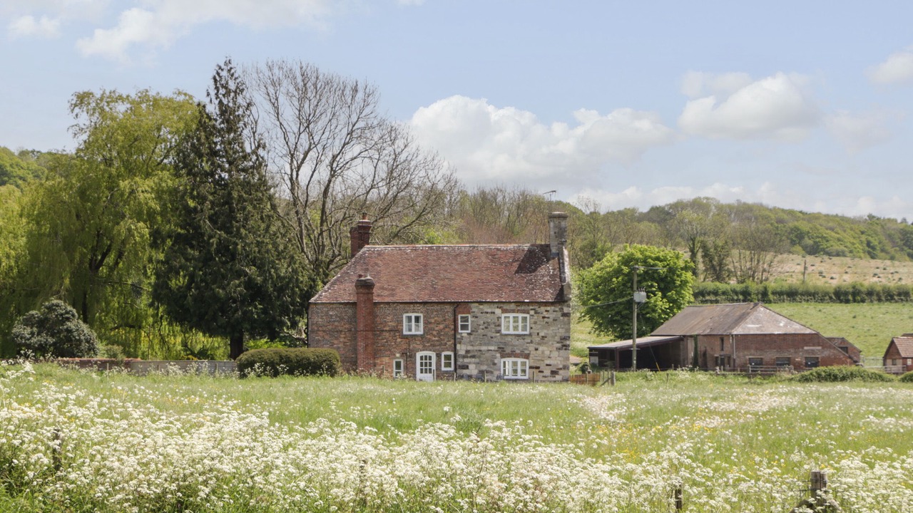 Photo of Others in Bere Regis