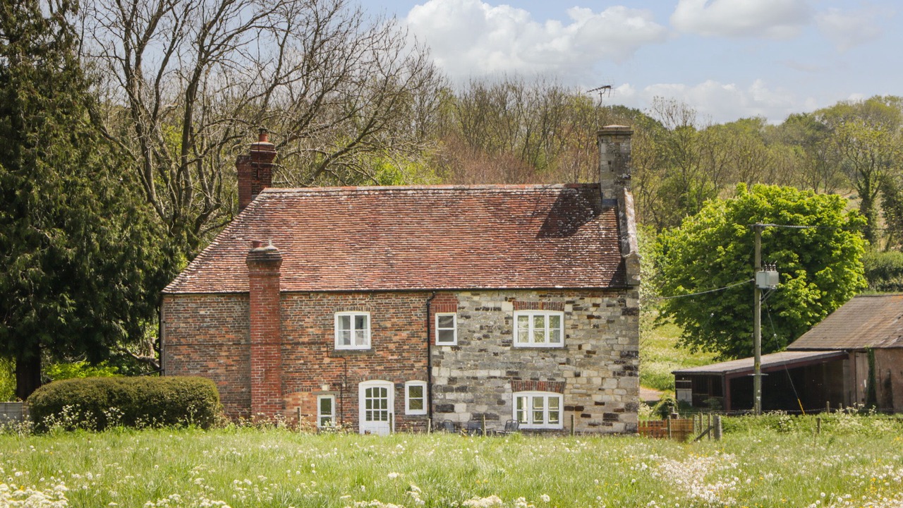 Photo of Others in Bere Regis